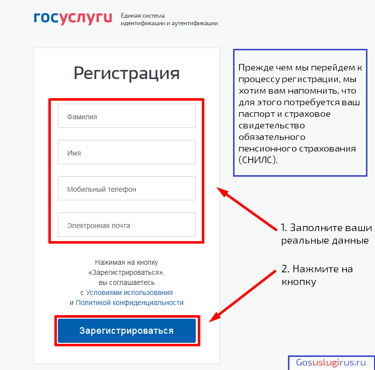 Образец заполнения госуслуг